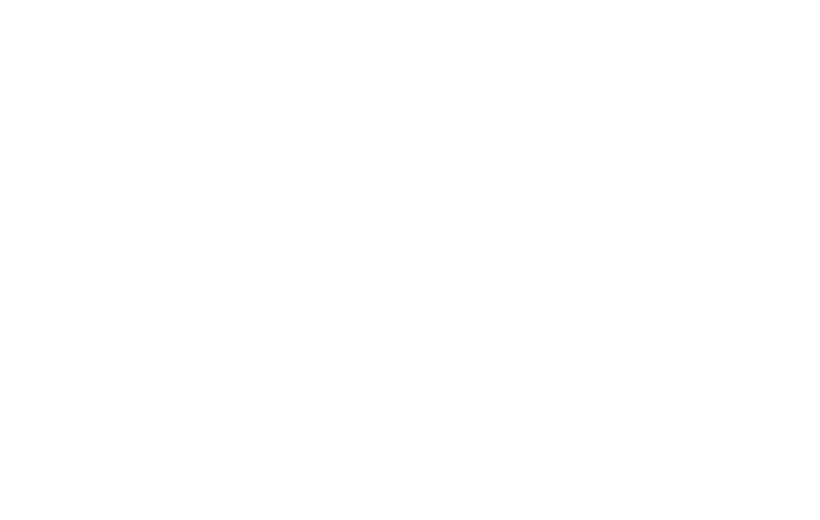 Logo of BubbleRAN, partner of Amarisoft in Public and Private network market